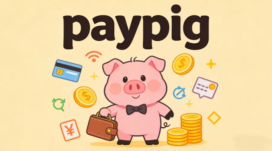 What Is a Paypig article cover image